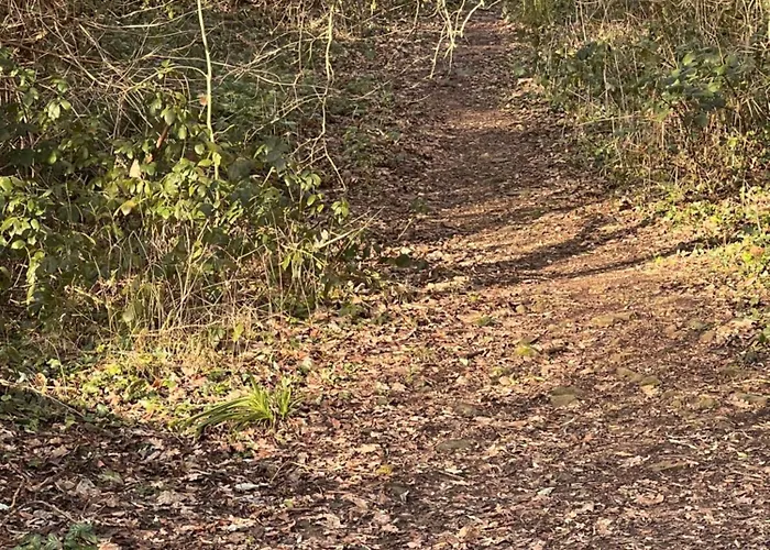 Stylish Modern Flat Calm And Comfortable