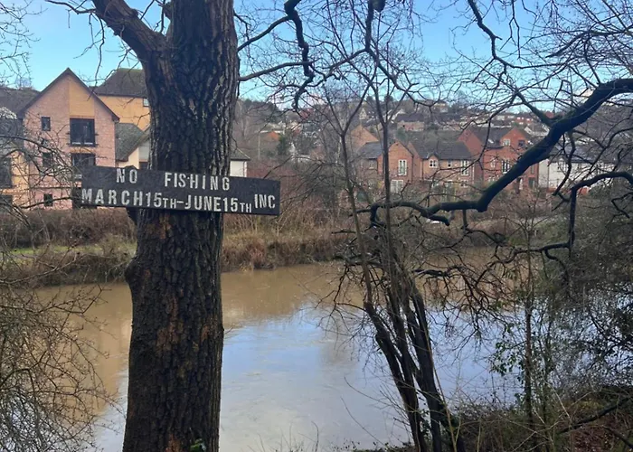 Stylish Modern Flat Calm And Comfortable